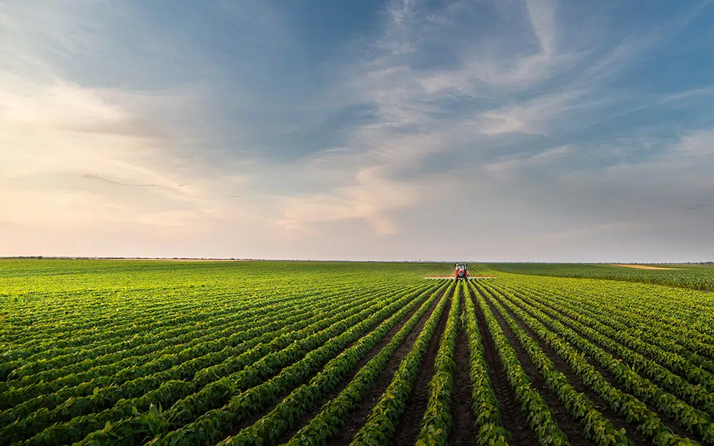 How Rural Communities Benefit From Fiber Optics